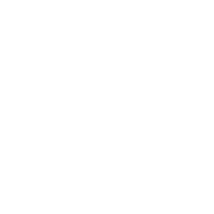 Mondo