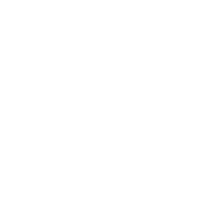 mr.steam